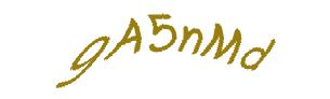 عبارت امنیتی