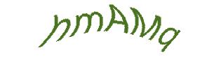 عبارت امنیتی
