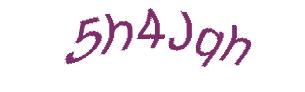 عبارت امنیتی