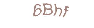 عبارت امنیتی