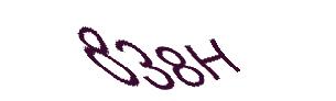 عبارت امنیتی