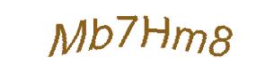 عبارت امنیتی