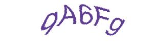 عبارت امنیتی