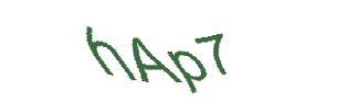 عبارت امنیتی