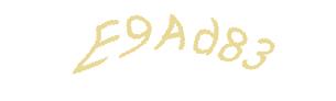 عبارت امنیتی
