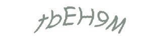 عبارت امنیتی