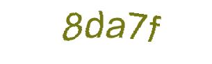 عبارت امنیتی