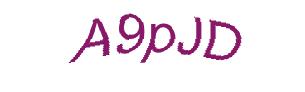 عبارت امنیتی