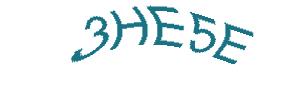 عبارت امنیتی