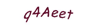 عبارت امنیتی