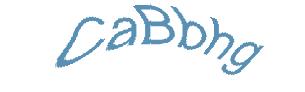 عبارت امنیتی