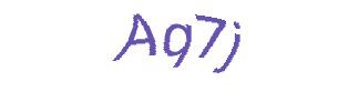 عبارت امنیتی