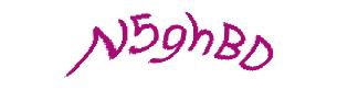 عبارت امنیتی