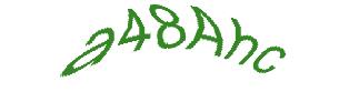 عبارت امنیتی
