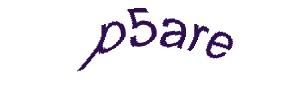 عبارت امنیتی