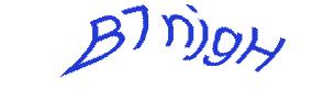 عبارت امنیتی