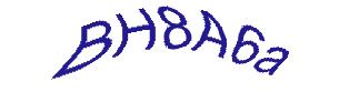 عبارت امنیتی