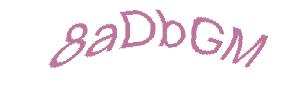 عبارت امنیتی