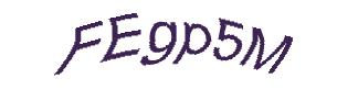 عبارت امنیتی