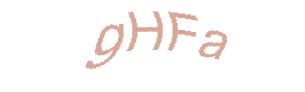 عبارت امنیتی