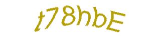 عبارت امنیتی