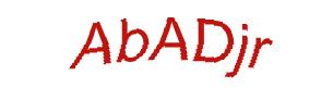 عبارت امنیتی