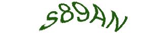 عبارت امنیتی