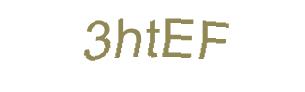 عبارت امنیتی