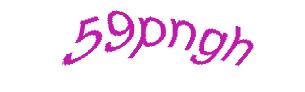 عبارت امنیتی