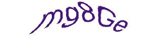عبارت امنیتی
