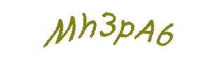 عبارت امنیتی