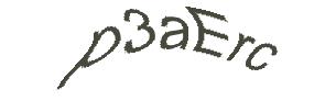 عبارت امنیتی