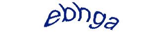 عبارت امنیتی