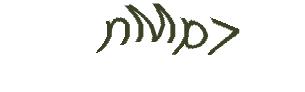عبارت امنیتی