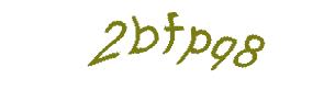 عبارت امنیتی