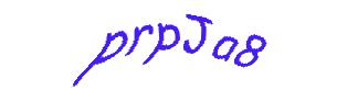 عبارت امنیتی