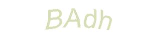 عبارت امنیتی