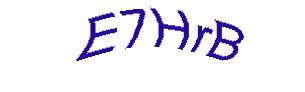 عبارت امنیتی