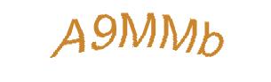 عبارت امنیتی