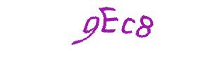 عبارت امنیتی