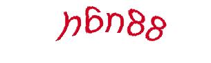 عبارت امنیتی