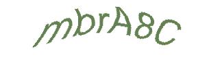 عبارت امنیتی