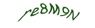 عبارت امنیتی
