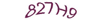 عبارت امنیتی