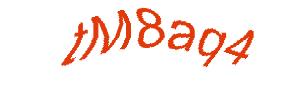 عبارت امنیتی