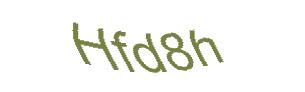 عبارت امنیتی