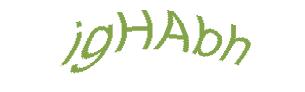 عبارت امنیتی