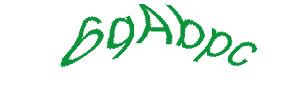 عبارت امنیتی