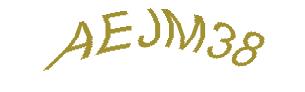 عبارت امنیتی