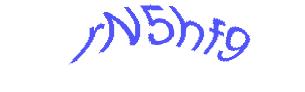 عبارت امنیتی